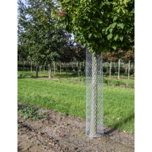 Boomharnas – Bescherming voor fruitbomen in de weide
